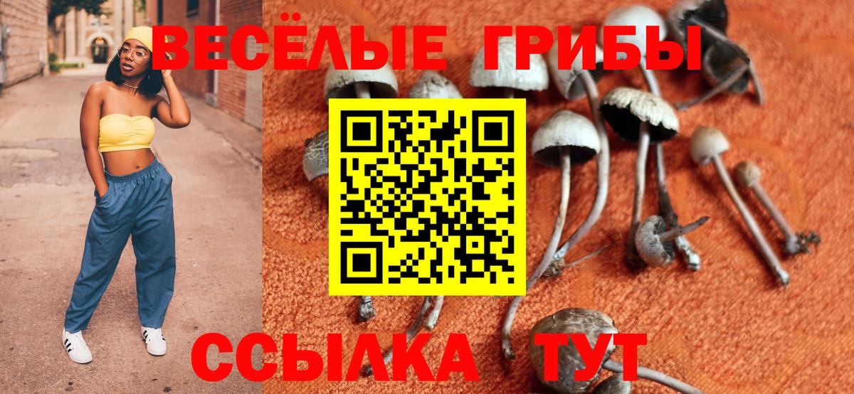 Кизилюрт  Бошки Шишки  Вход с VPN  ГАШИШ  Меф  