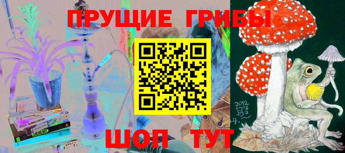 Кизилюрт  Псилоцибиновые грибы Magic Shrooms  Вход с VPN 
