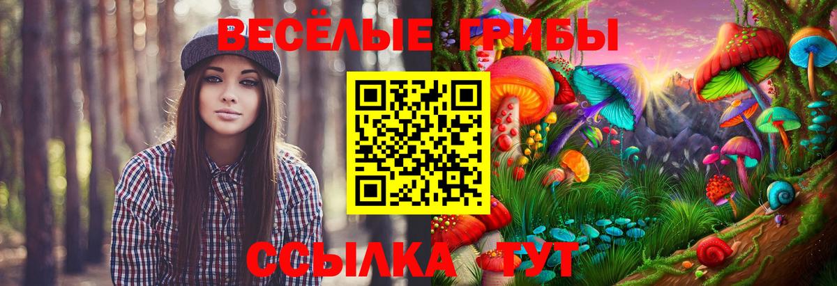 Галлюциногенные грибы ЛСД Кизилюрт